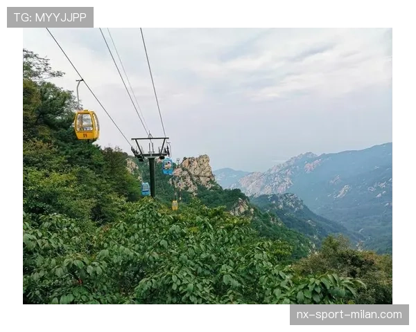 防守体系经验丰富之下：山东泰山为何仍不稳定？